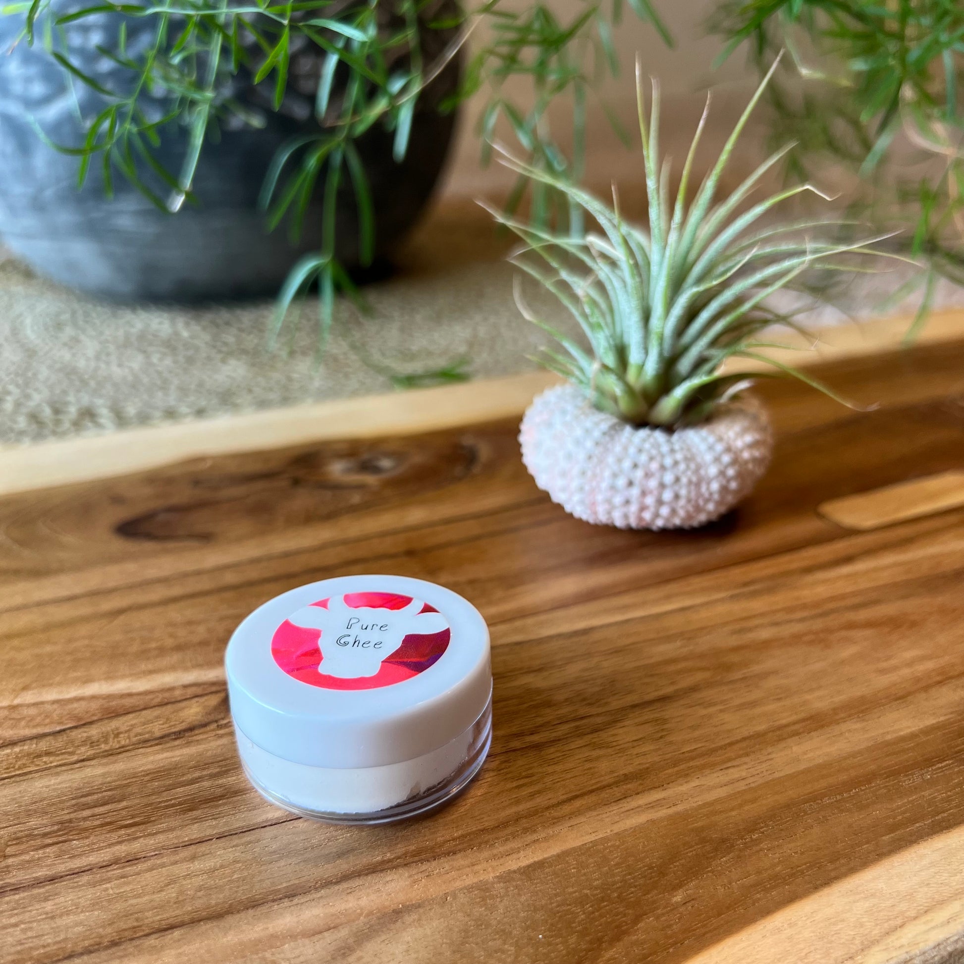 Sample size of 100x Washed Ghee Ayurvedic Skin Cream with a pink label on a wooden board with an air in the background.